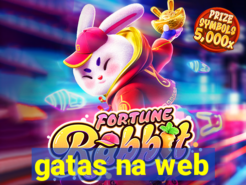 gatas na web